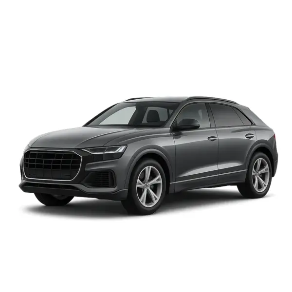 Audi Q8 dakdragers