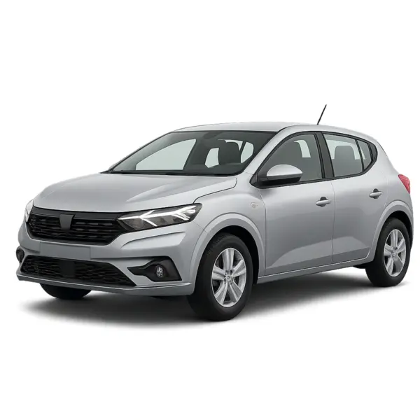 Dacia Sandero dakdragers