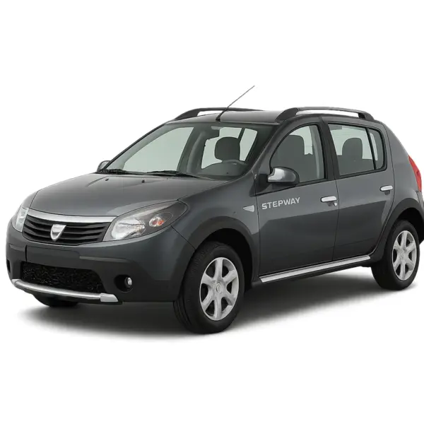 Dacia Sandero Stepway 2010-2012 dakdragers