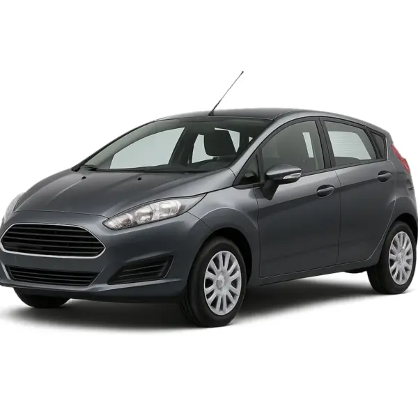 Ford Fiesta dakdragers