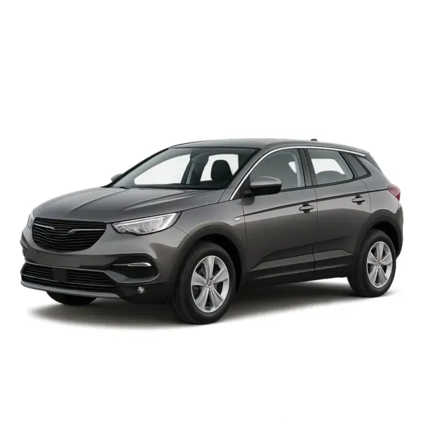Opel Grandland X dakdragers