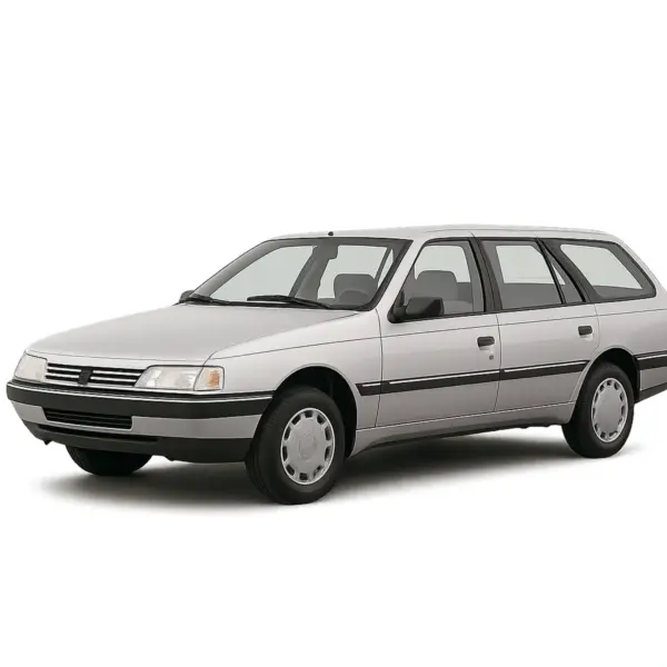 Peugeot 405 SW 1988-1997 dakdragers